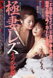 《极妻快感》海报