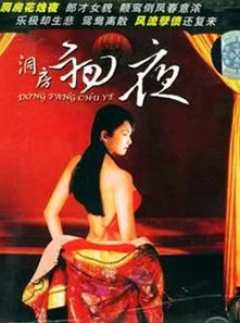 《初夜洞房档案》海报