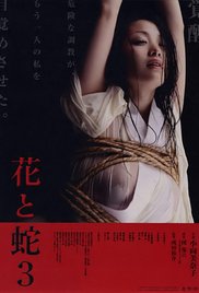 《花与蛇3》海报