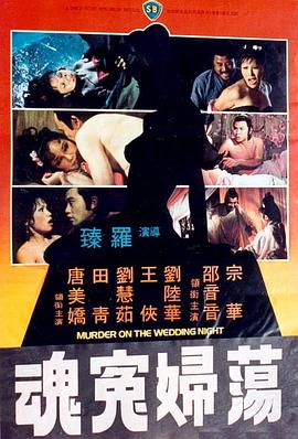 《荡妇冤魂 蕩婦冤魂》海报