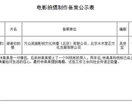 《谢谢你的爱》海报