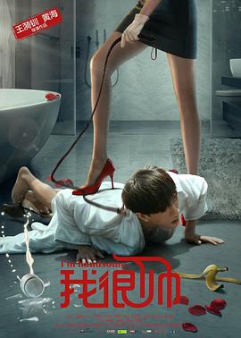 《我很帅》海报