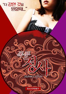 《暴风情事》海报