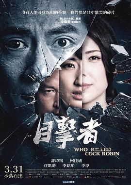 《目击者之追凶》海报