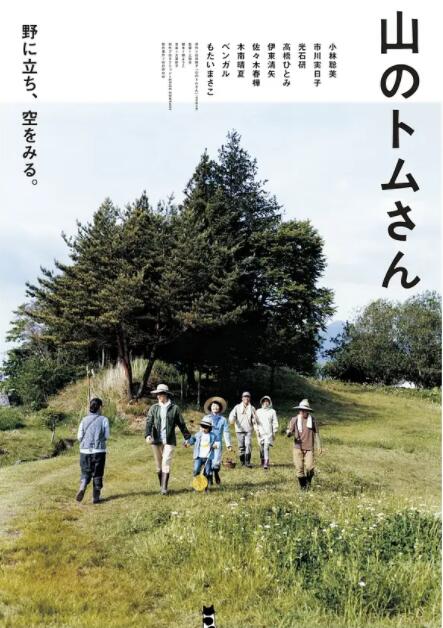 《山中的汤姆先生》海报