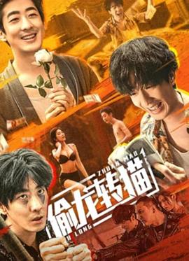 《偷龙转猫》海报