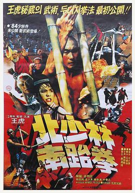 《北少林南跆拳》海报
