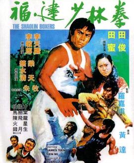《福建少林拳》海报