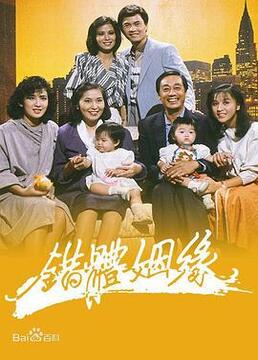 《错体姻缘》海报
