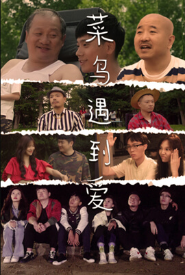 《菜鸟遇到爱》海报