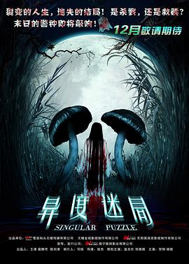 《异度迷局》海报