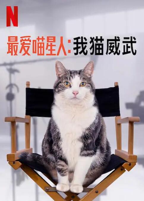 《最爱喵星人：我猫威武》海报