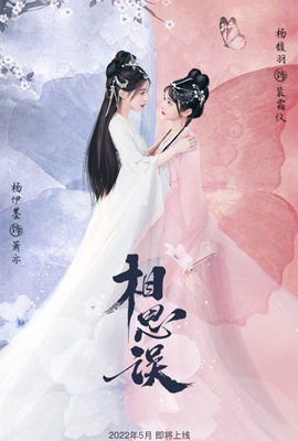 《相思误》海报