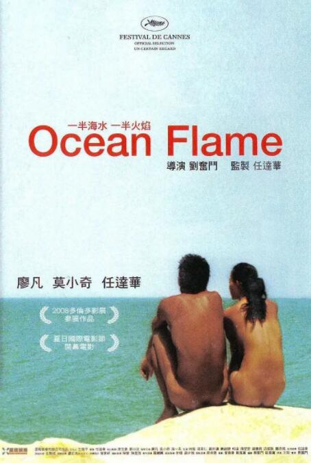 《一半海水一半火焰》海报