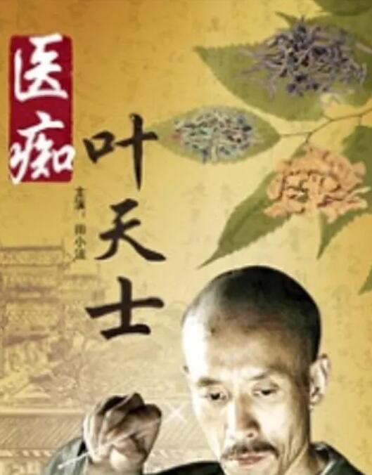 《医痴叶天士》海报