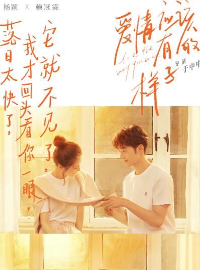 《爱情应该有的样子》海报
