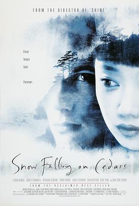 《落在香杉树的雪花》海报