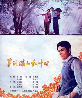 《等到满山红叶时》海报