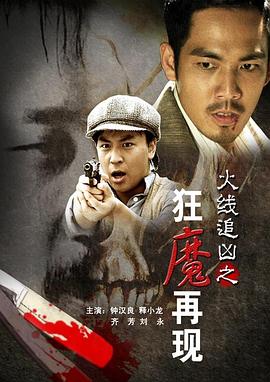 《火线追凶之狂魔再现》海报