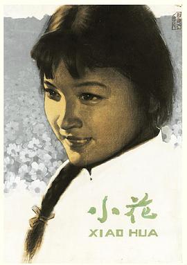 《小花》海报