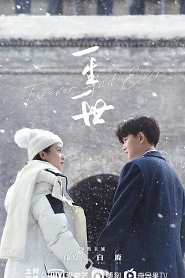 《一生一世》海报