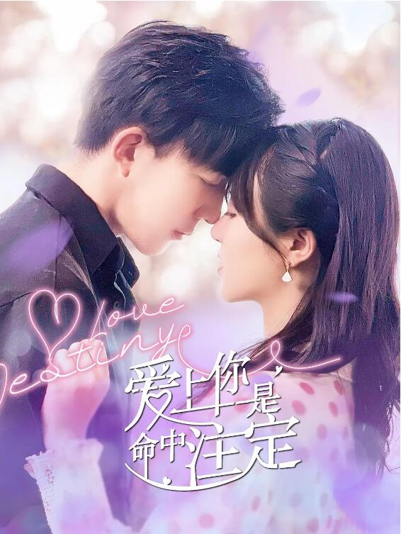 《爱上你是命中注定》海报