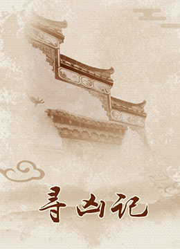 《寻凶记》海报