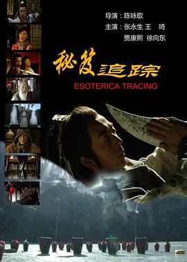 《秘笈追踪》海报