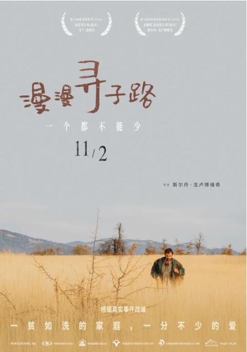 《漫漫寻子路》海报
