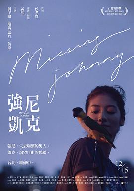 《强尼凯克》海报