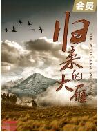 《归来的大雁》海报