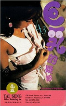 《巨乳的疑惑》海报