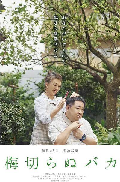 《不砍梅树的傻瓜》海报