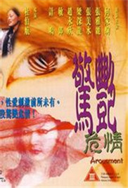 《惊艳危情》海报