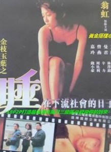 《金枝玉叶之睡在下流社会的日子》海报