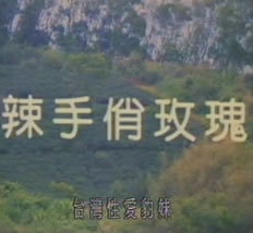 《辣手俏玫瑰》海报