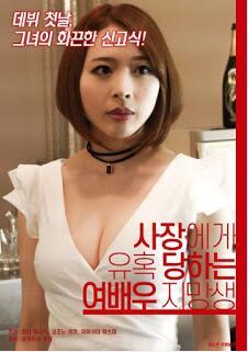 《女演员之路》海报