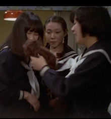 《女高中生性感试验》海报