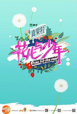 《花儿与少年 第四季》海报