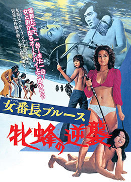 《女番长布鲁斯：雌蜂的逆袭》海报