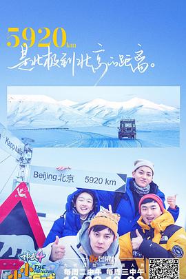 《小小的追球》海报