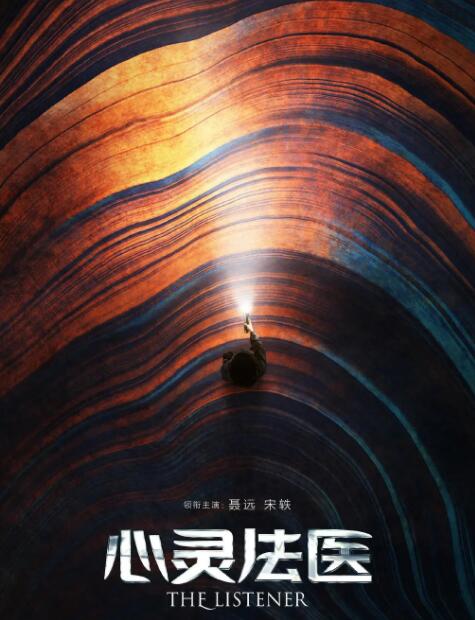 《心灵法医》海报