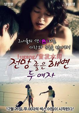 《两个女人在有风景的海滩》海报