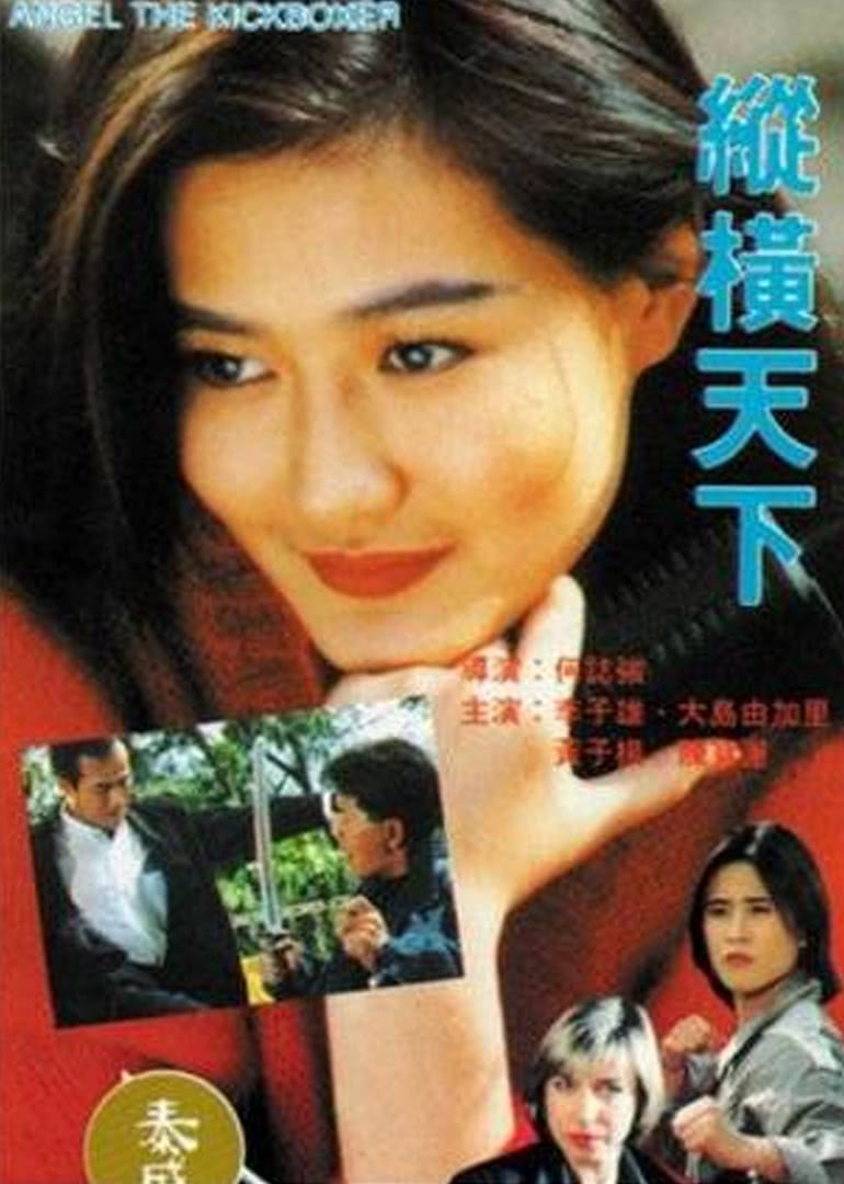 《纵横天下》海报