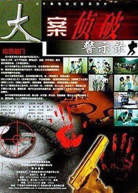 《大案侦破警示录》海报