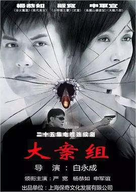 《大案组》海报