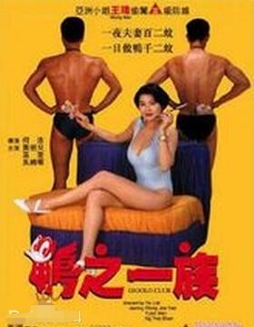 《鸭之一族》海报