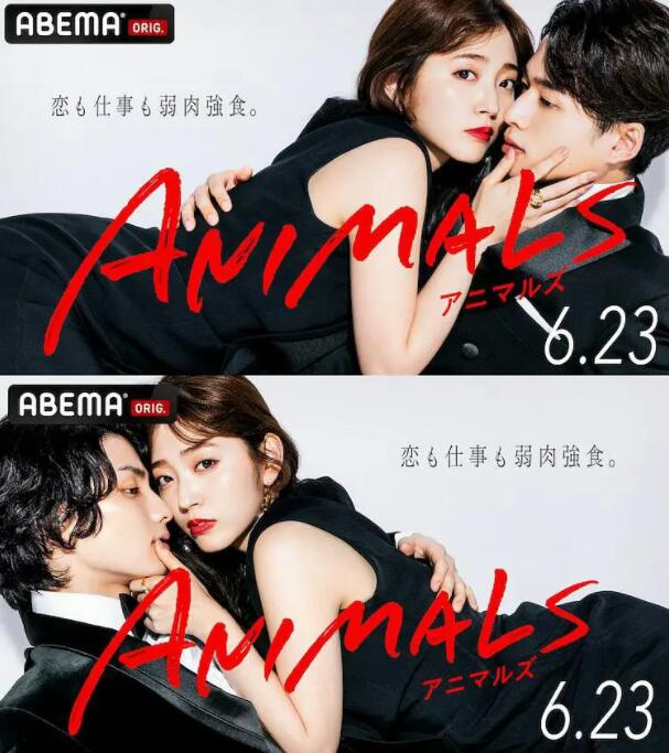 《ANIMALS》海报