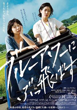 《在蓝色时分飞翔》海报