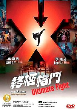 《终极格斗（国语版）》海报